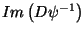 $\operator{Im} \left( D \psi^{-1} \right)$