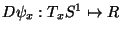 $D \psi_x : T_xS^1 \mapsto \mathbb R$